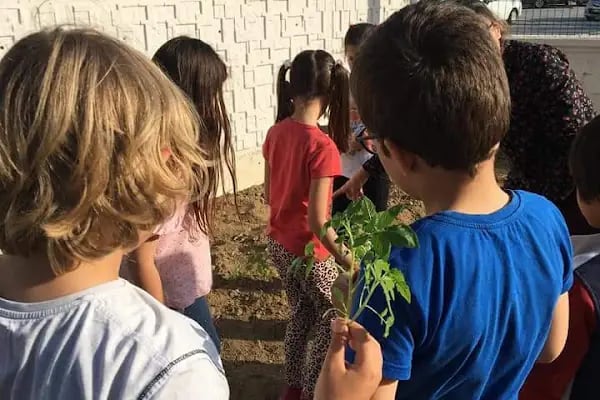 ŞEHIT NEFIZE ÇETIN ÖZSOY BILIM VE SANAT MERKEZI - Resim 14