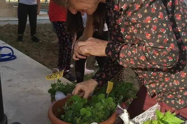 ŞEHIT NEFIZE ÇETIN ÖZSOY BILIM VE SANAT MERKEZI - Resim 19