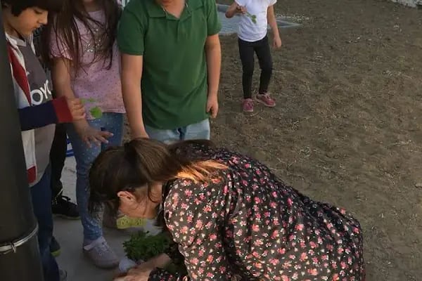 ŞEHIT NEFIZE ÇETIN ÖZSOY BILIM VE SANAT MERKEZI - Resim 12