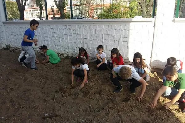 ŞEHIT NEFIZE ÇETIN ÖZSOY BILIM VE SANAT MERKEZI - Resim 20