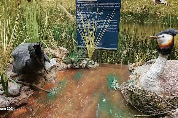Adana Biyolojik Çeşitlilik Müzesi - Resim 13
