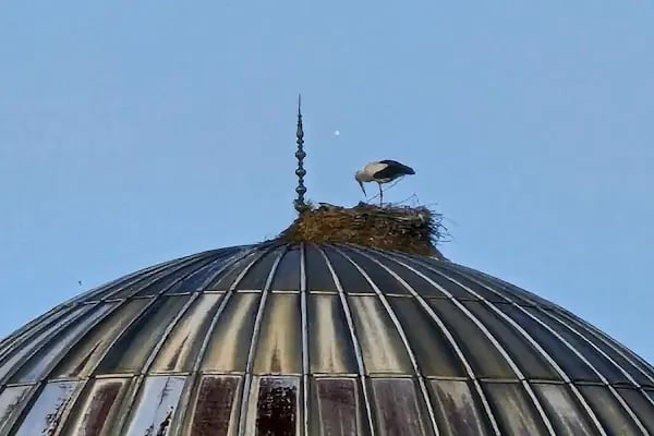 Balıkesir Merkez Küçük Sanayi Sitesi - Resim 13