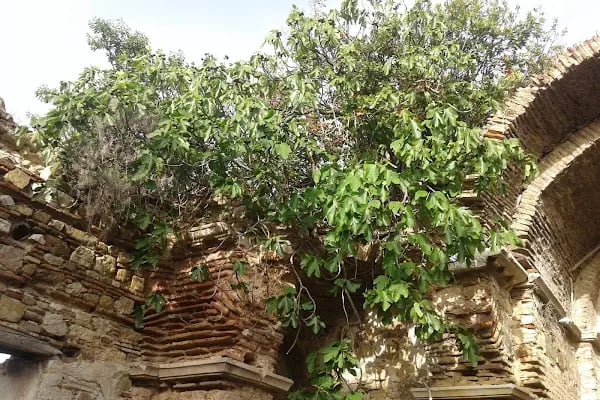 Aya Yani Manastırı - Resim 17