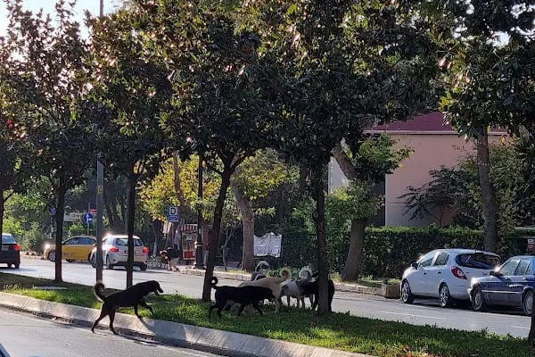 B-2 Blok Parkı - Resim 2