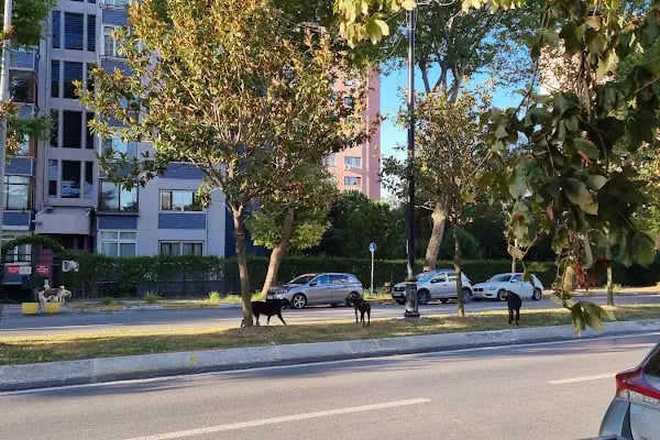 B-2 Blok Parkı - Resim 4