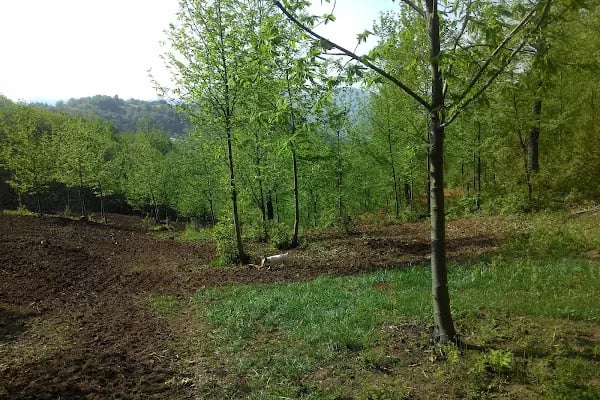 Masal Bahçesi - Resim 8