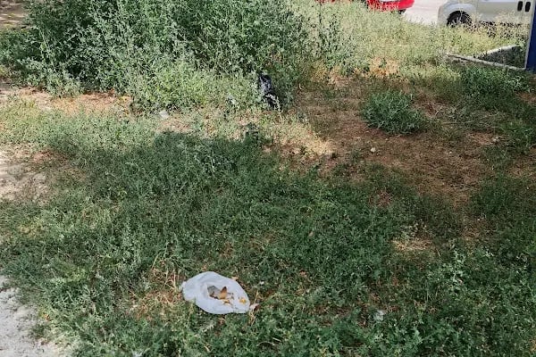 Era Göz Hastalıkları Merkezi Keçiören Şubesi - Resim 9