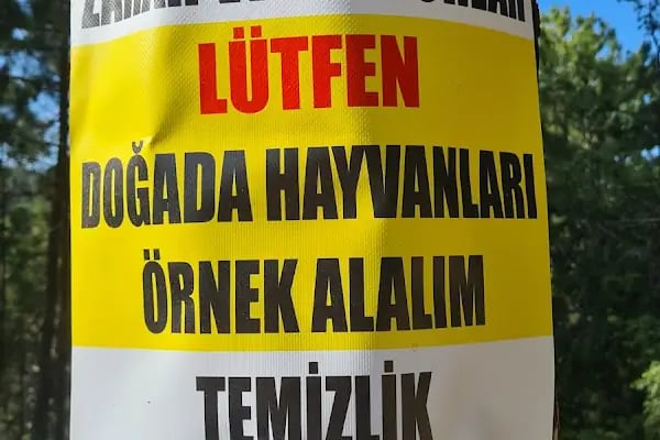 Uyuzsuyu Şelalesi - Resim 11