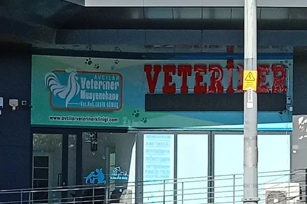Avcılar Veteriner Kliniği - Resim 17