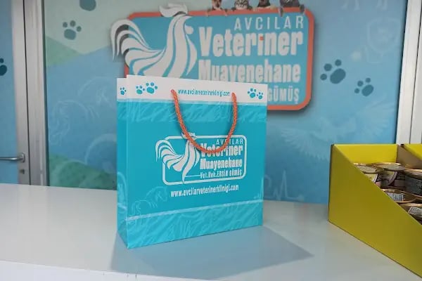 Avcılar Veteriner Kliniği - Resim 12
