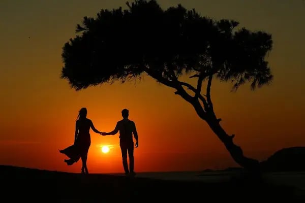 Selçuk Atmaca Fotoğrafçılık - Resim 10