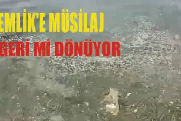 Gemlik Basın Haber | Tarafsız haberin doğru adresi - Resim 14