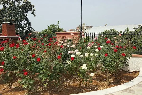 Hüsnü Yüksek Çocuk Parkı - Resim 3