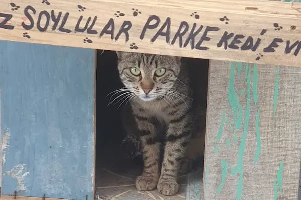 SOYLU PetShop - Resim 11