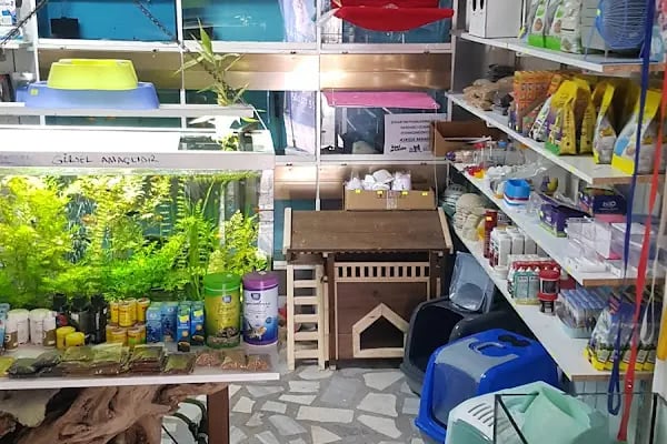 SOYLU PetShop - Resim 4