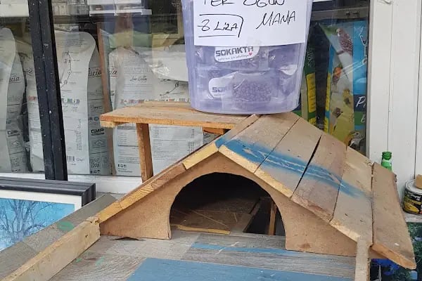 SOYLU PetShop - Resim 3