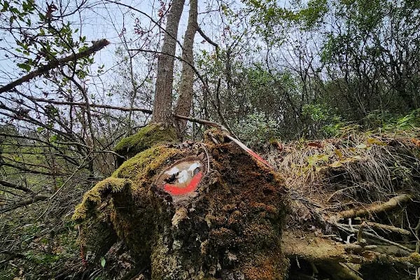 ARTEMEA YOLU - Resim 13