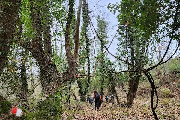 ARTEMEA YOLU - Resim 4