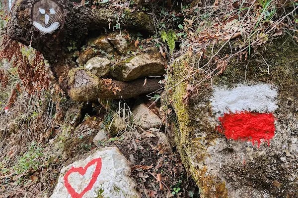ARTEMEA YOLU - Resim 20
