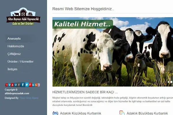 Unsalanweb Tasarım Bilişim Hizmetleri - Resim 3