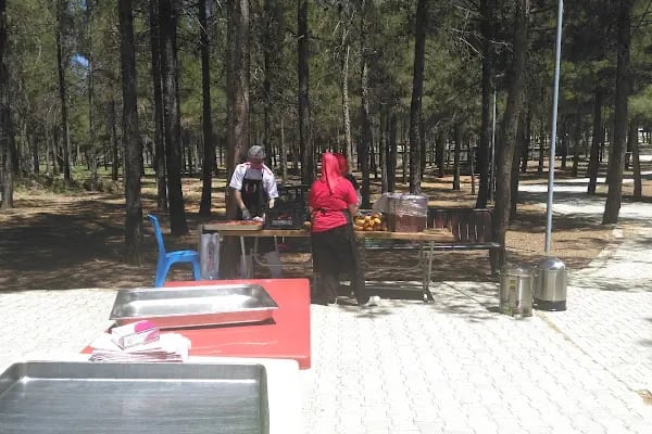 Erikçe Kayak Merkezi - Resim 7