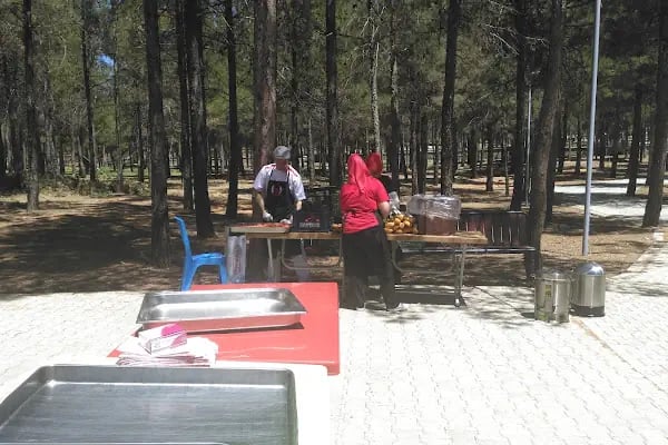 Erikçe Kayak Merkezi - Resim 17