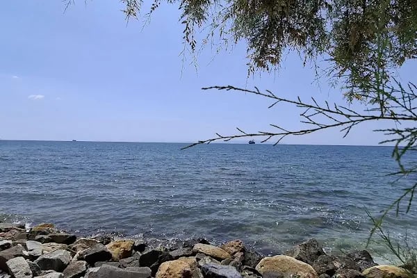 Alman köy tapınağı - Resim 20