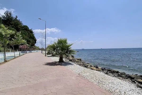 Alman köy tapınağı - Resim 17