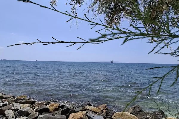 Alman köy tapınağı - Resim 18