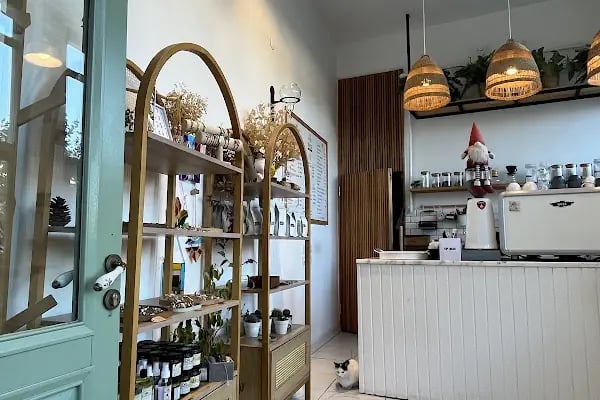 Maple Coffeeshop Büyükada - Resim 4