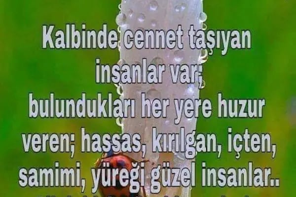 Eski Mağara Camii - Resim 14