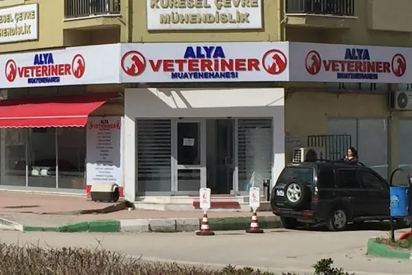 Alya Veteriner Muayenesi - Resim 3