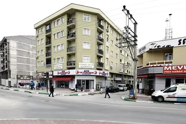 Alya Veteriner Muayenesi - Resim 5