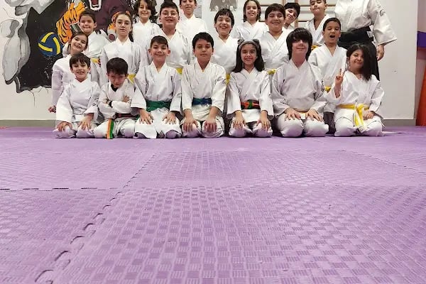UAO İzmir Bornova Aikido Okulu - Resim 18