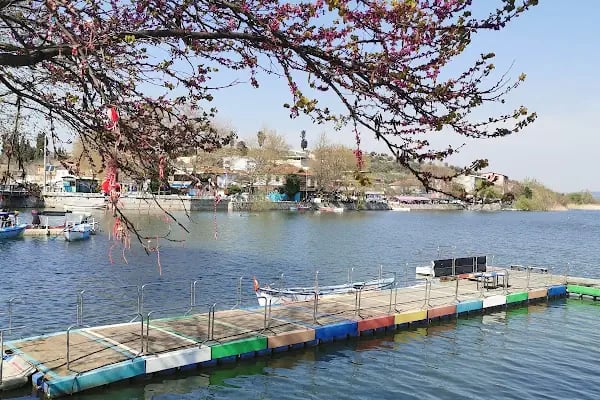 Ağlayan Çınar - Resim 8