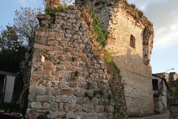 Ağlayan Çınar - Resim 9
