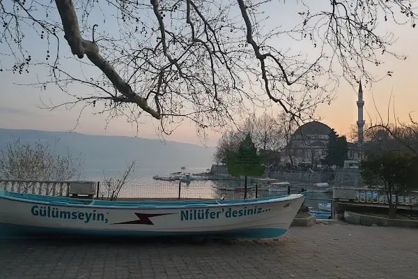 Ağlayan Çınar - Resim 12