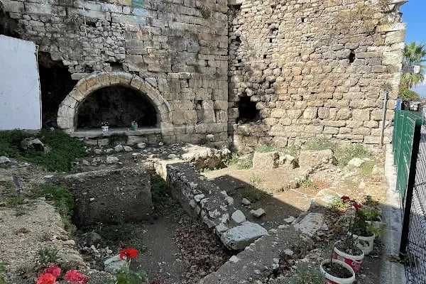 Ağlayan Çınar - Resim 10