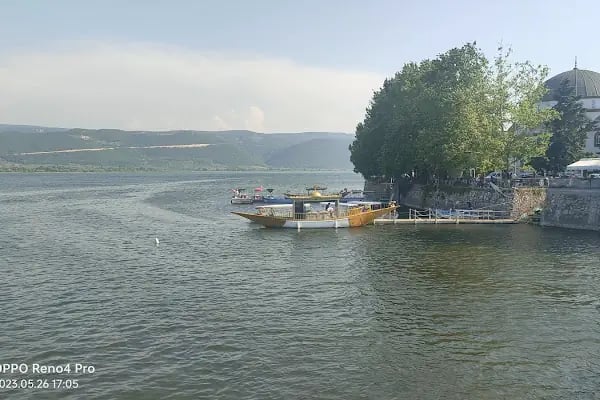 Ağlayan Çınar - Resim 6