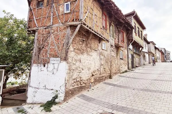 Ağlayan Çınar - Resim 20