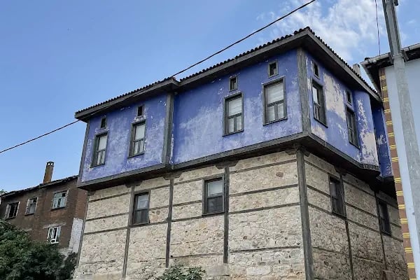 Ağlayan Çınar - Resim 15