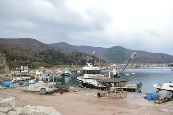 Malkara Balıkçı Limanı - Resim 6