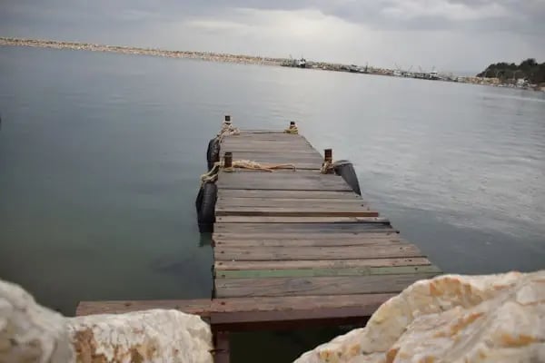Malkara Balıkçı Limanı - Resim 7