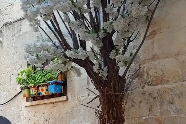 Tarihi Bey Mahallesi - Resim 15