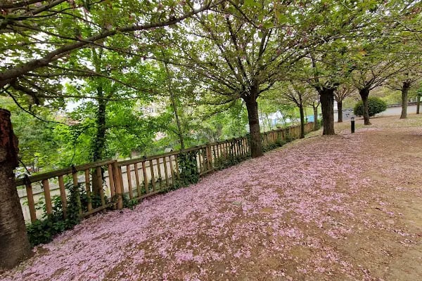 İBB Japon Bahçesi Parkı - Resim 19