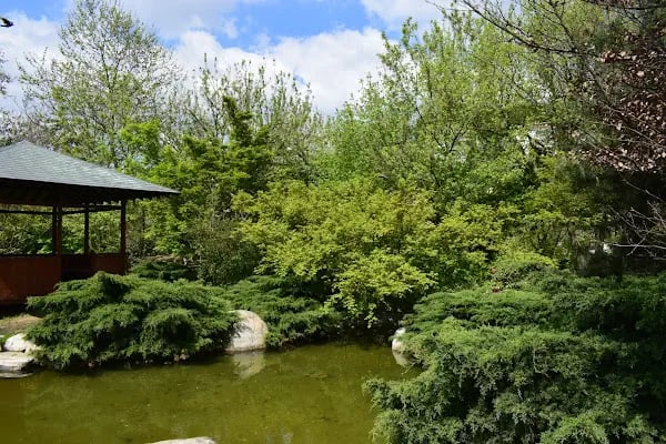 İBB Japon Bahçesi Parkı - Resim 6