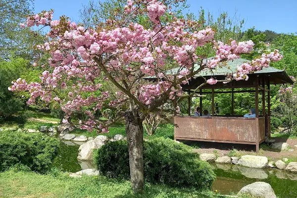 İBB Japon Bahçesi Parkı - Resim 20