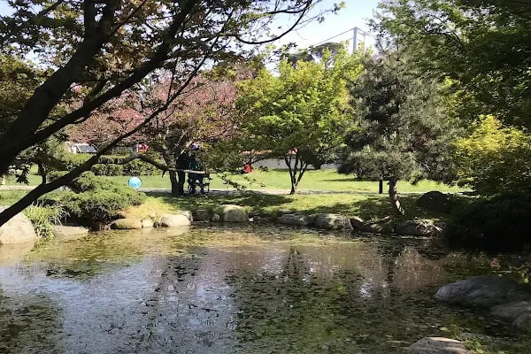 İBB Japon Bahçesi Parkı - Resim 10