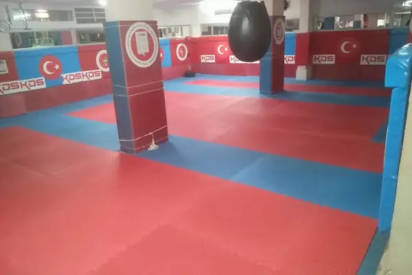 KARMA DÖVÜŞ SANATLARI FEDERASYONU -KDS - Resim 5