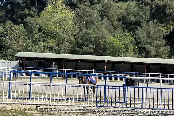 Cihangir Advanture Park - Resim 5